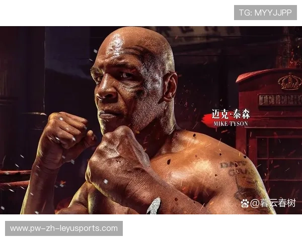 拳击王者再创王朝：燃动每一滴汗水，塑造传奇未来